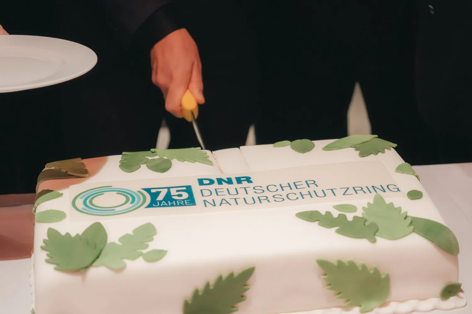 Tortenanschnitt